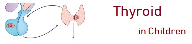 thyroid